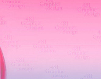 481 Graphic Design